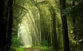 Obituary of John Dobrinick