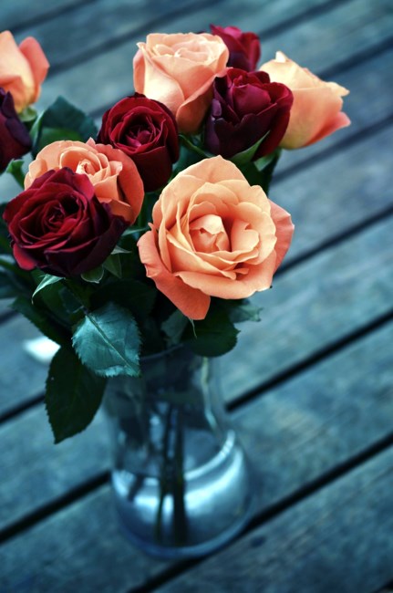 Obituary of Carolyn Louise Steele