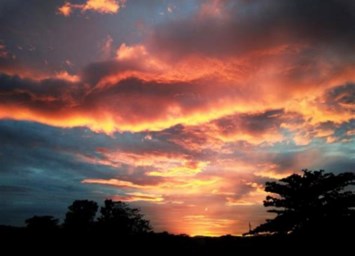 Obituary of Pete Martinez