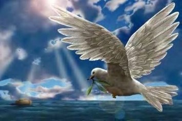 Obituary of Kevin Hannon