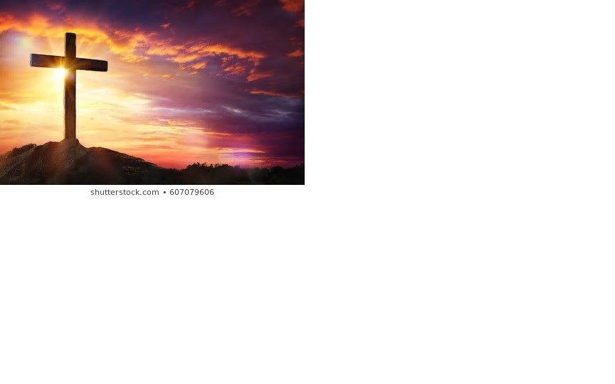 Obituary of Winifred Margaret Scherer