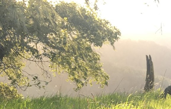 Luke Rasmussen Obituary - Pacific Grove, CA