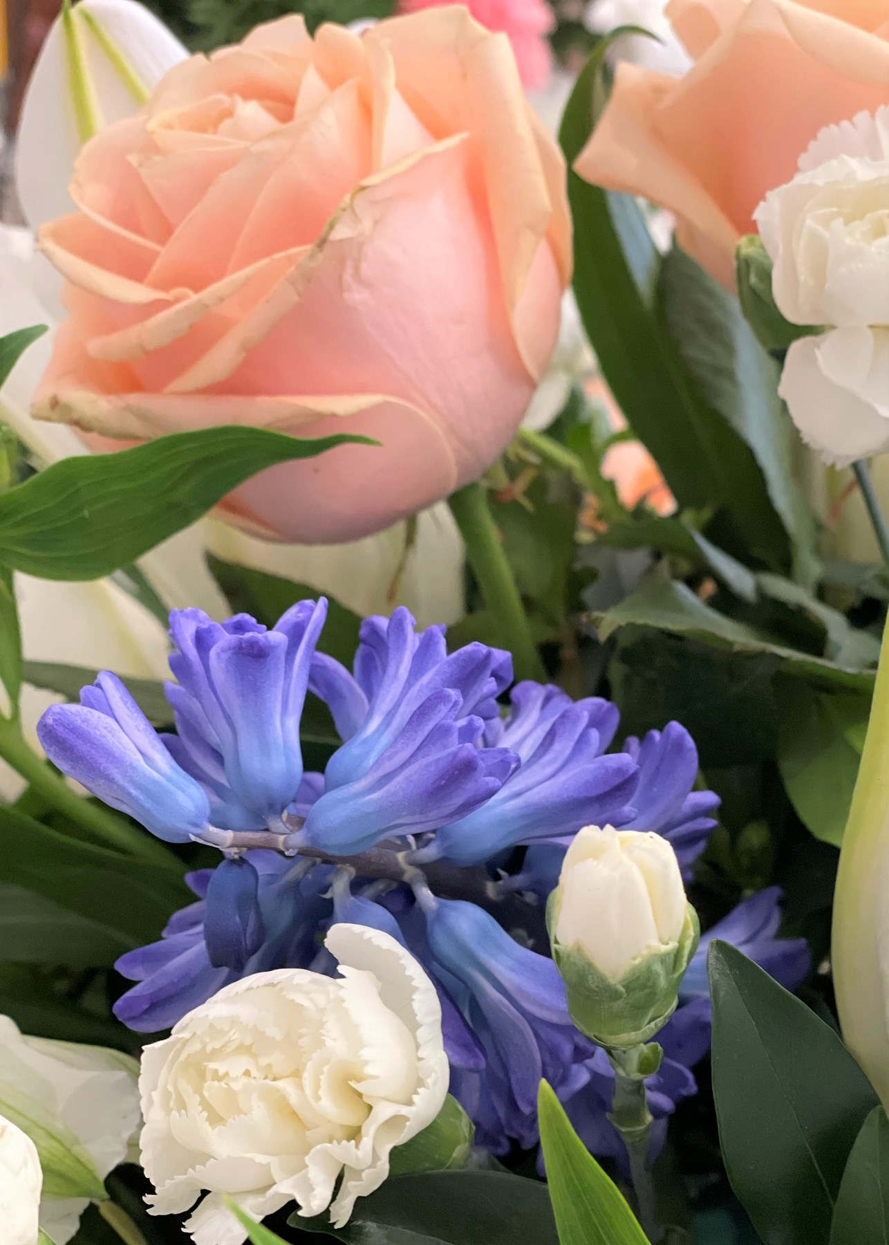 Joanne Fraser Obituary Vancouver, BC