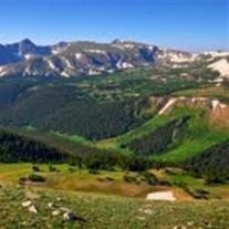 Obituary of Lois Mae Williams Waller