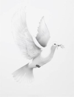 Obituary of Christina Louise Brown