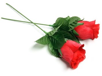 Obituario de Claire Angleton Walter and Olivia Angleton Walter