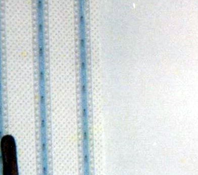 Lee Carlisle Obituary Roswell, GA