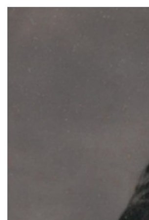 May Clare Patteson Braden Obituary Dallas TX may-clare-patteson-braden-obituary-dallas-tx