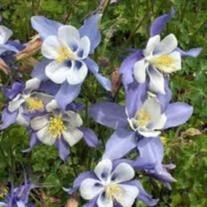 Obituary of Gary Patrick Hayes