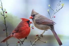 Obituary of Phyllis J. Gill