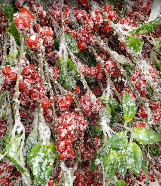 Obituary of Deanna Leigh Anderson