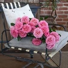 Obituary of Jeanne Marie Sproul