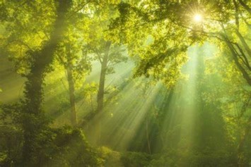 Obituary of Robert Francis Butler