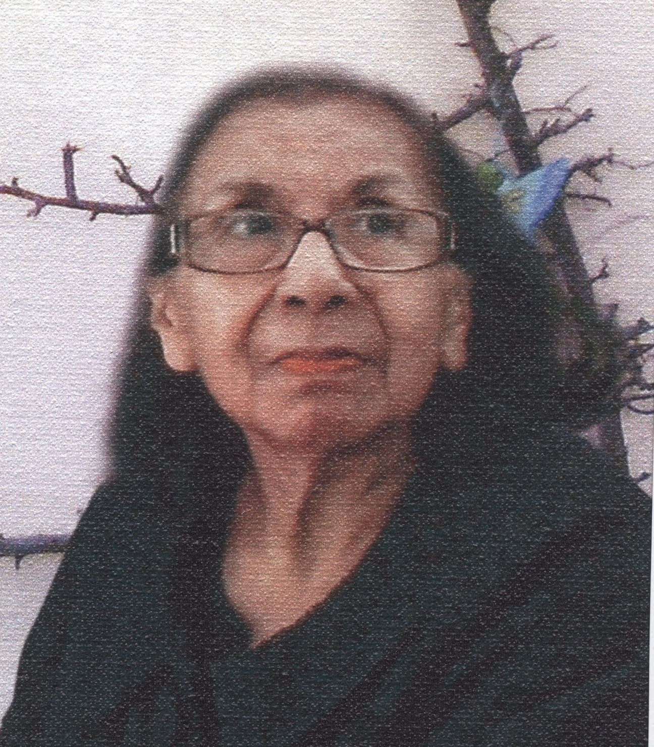 Obituary of Rosa Frausto