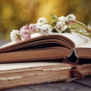 Obituary of Priscilla Neville Scalley