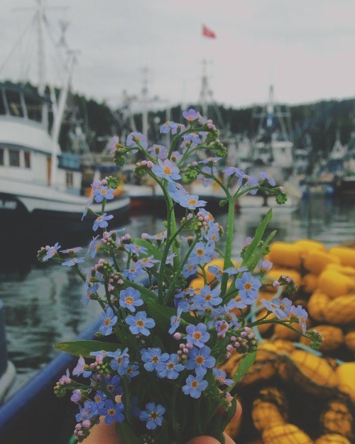 Obituary of Angelina Ayala