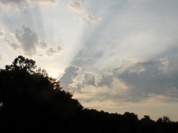 Obituary of Nicholas James Johnson