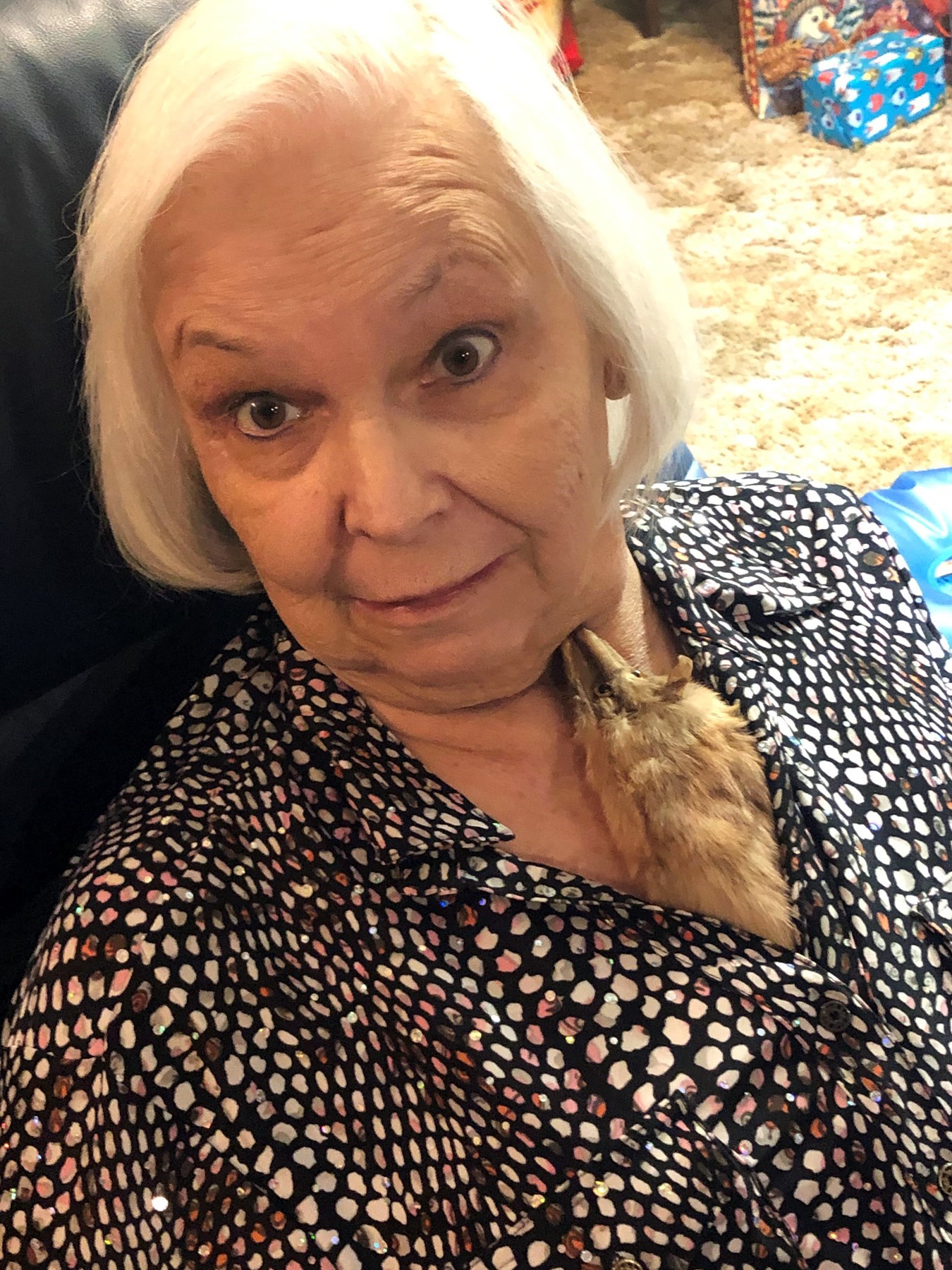 Brenda Scott [Profiles] • Instagram, Twitter, TikTok Foller