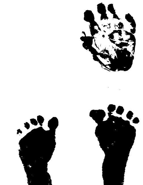 Avis de décès de Noah Alexander Osorio