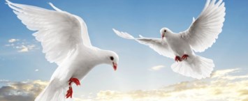 Obituary of Margaret H. Little