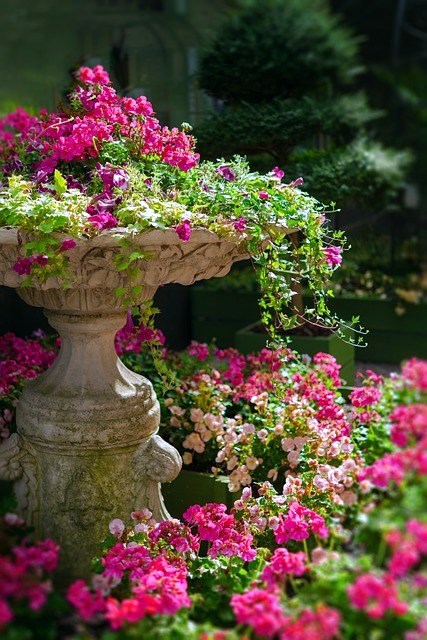 Obituary of Jeannie Lathrop