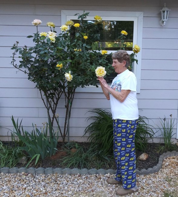 Obituary of Janet Lee Hogrefe