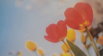 Obituary of Kristoffer Bratlien