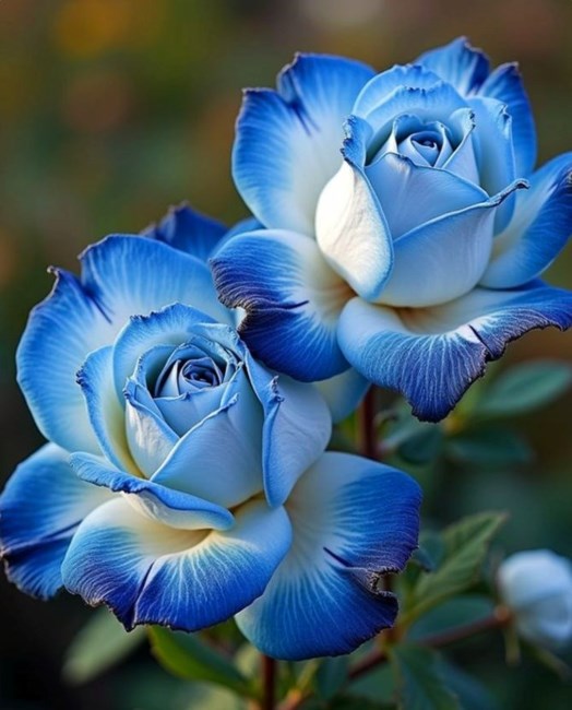 Obituary of Carl Adrienne Moreno