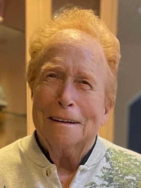 Obituary of Erika Brink