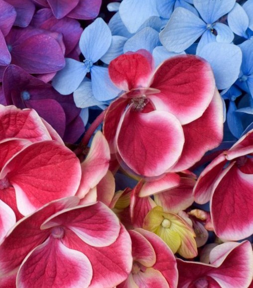 Obituary of Helen Winifred Agnes Price