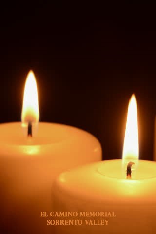 Obituary of Susan Stevens