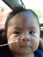 Obituary of Gabriel Israel Cisneros