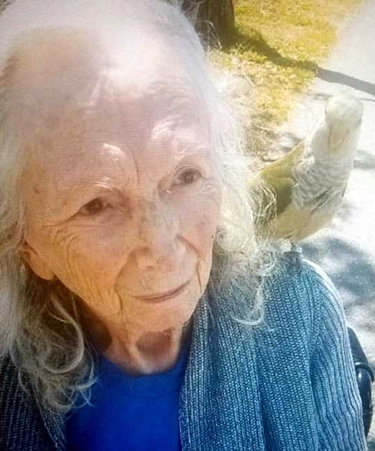 Obituary of Alice Lorelei Hoyvik
