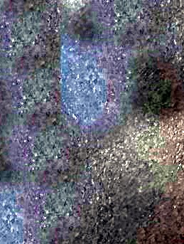 Mary Jean McMillan Obituary Rockledge FL mary-jean-mcmillan-obituary-rockledge-fl