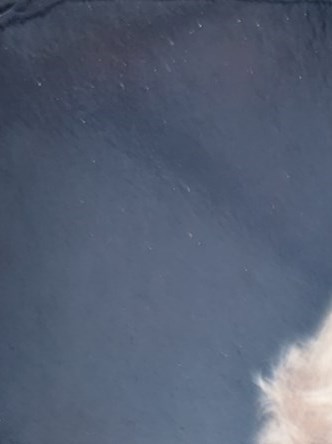 Libbey Funeral Home Obituaries