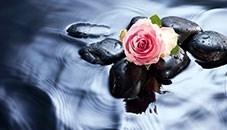 Obituary of Edith Klein