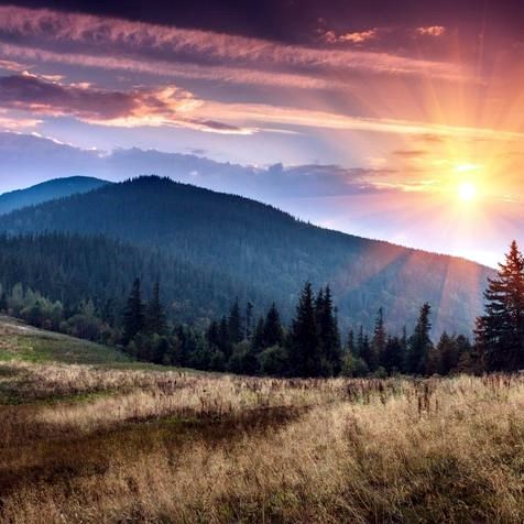 Obituary of Kenneth Judd Pursley