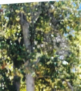 Floy Jones Obituary - Bonita, CA