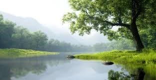 Avis de décès de David Gordon Molzahn