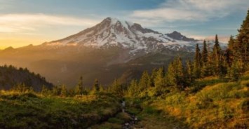 Obituary of Marilyn E. Williams