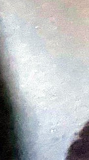 Troy Bruce Obituary Gadsden, AL