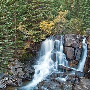 Obituary of Charles Brant Becker