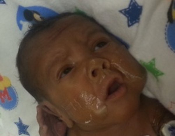Obituary of Noah John Felder
