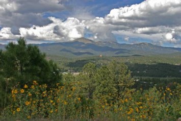 Obituary of Michael Vaughn Payne