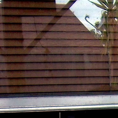 Elisa Rocha Obituary - Corpus Christi, TX