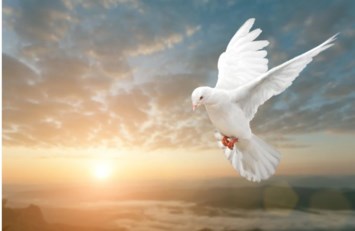 Obituary of Ana Maria Garcia Rivera