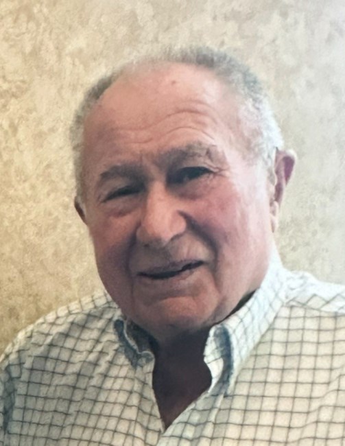 Obituary of Harold Pauli