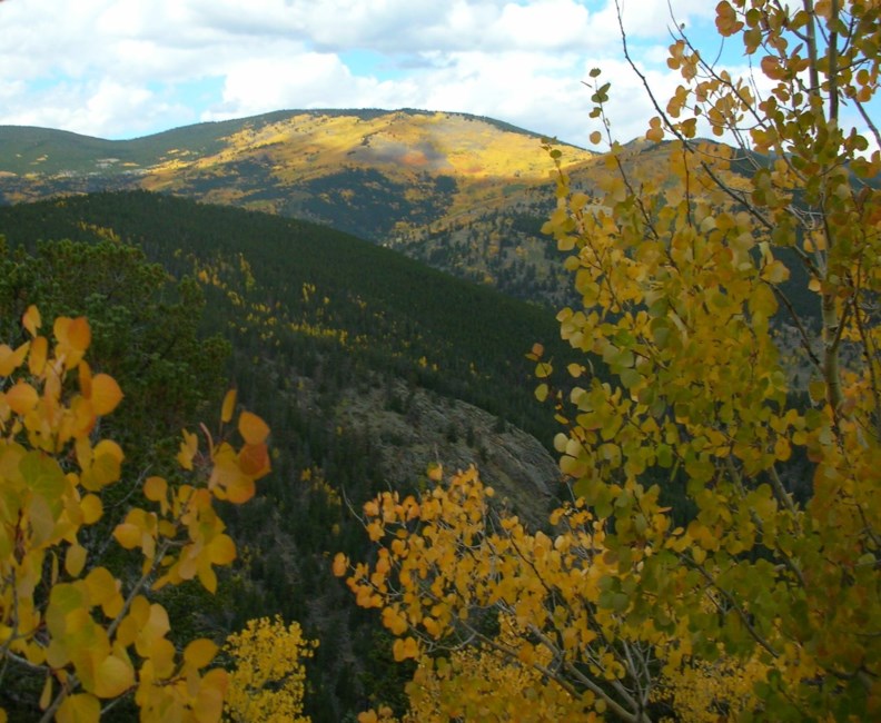 Obituary of Martine Denise Lacy