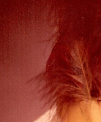 Betty Lou Franks Obituary Houston TX betty-lou-franks-obituary-houston-tx