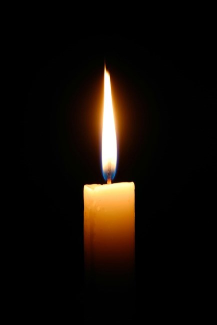 Obituary of Doris Levine